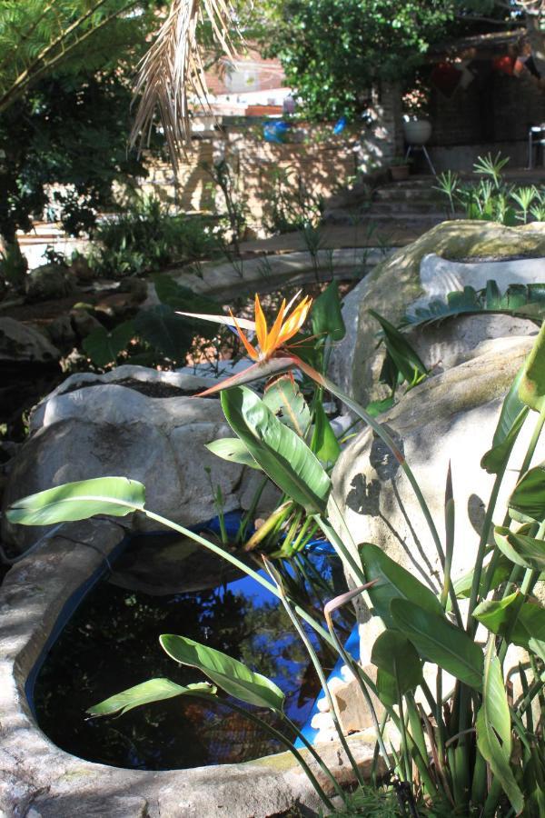 Schuilhoek Garden Terraces - Self Catering Cape Town Exterior foto